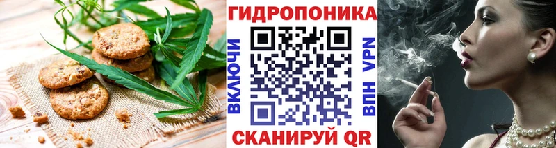 Canna-Cookies конопля  MEGA как войти  сайты даркнета официальный сайт  Владикавказ 