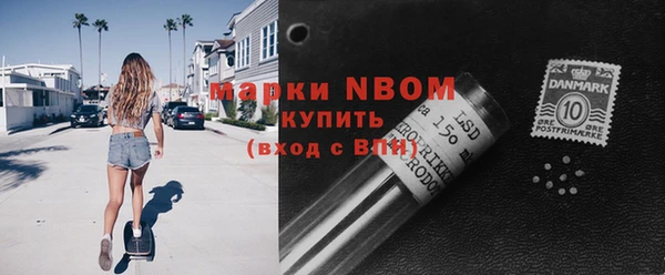 мдпв Верхний Тагил