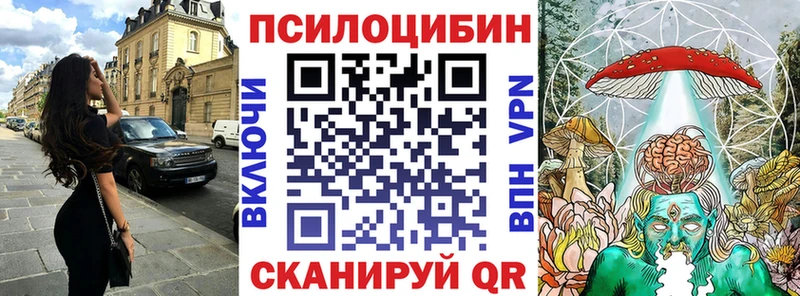 omg   Владикавказ  Псилоцибиновые грибы Psilocybine cubensis 